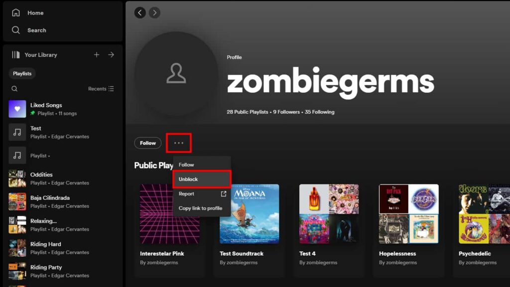 unblock on spotify website 